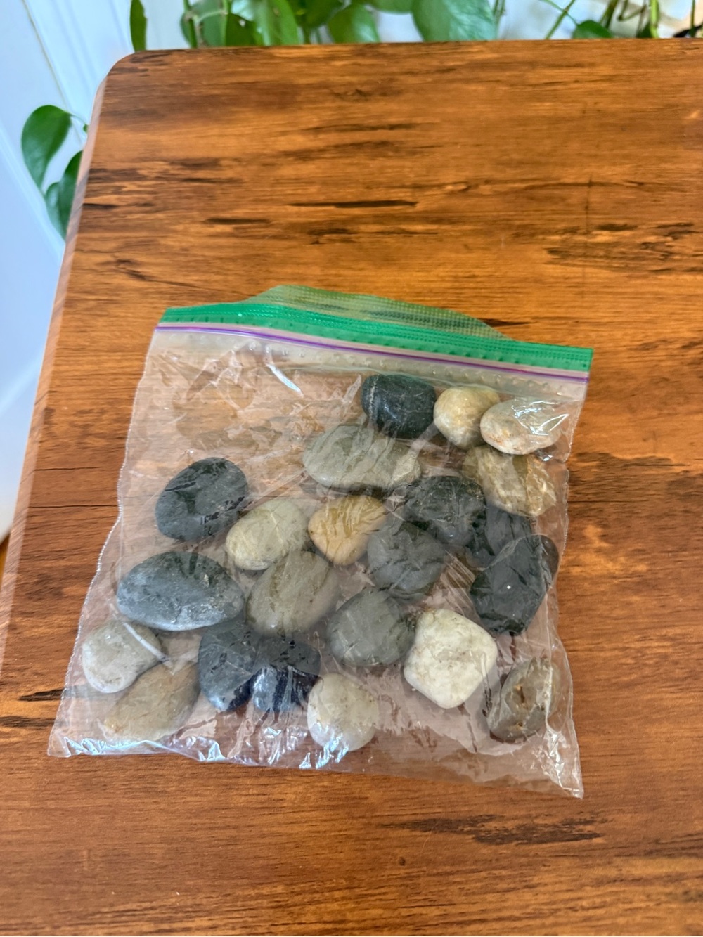 Terrarium Decorative River Rocks - Mixed Natural Colors